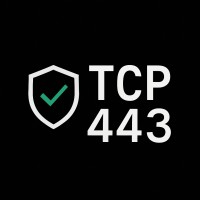 TCP 443 Consulting