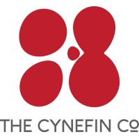 The Cynefin Company logo - Similar company to Knowledge Summit Dublin