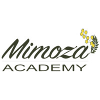 Mimoza Academy logo - Similar company to Neoconix, Inc.
