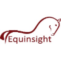 Equinsight logo - Similar company to Hugo Levy Consulting