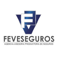 FEVESEGUROS logo - Similar company to B & Argudo Solutions