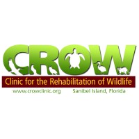 CROW - Clinic for the Rehabilitation of Wildlife, Inc. logo - Similar company to Blue River Services, Inc