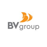 Bv Group