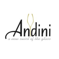 Andini logo - Similar company to Sciener Solutions