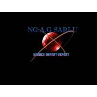 NGAG logo - Similar company to Spectrum Rope Access