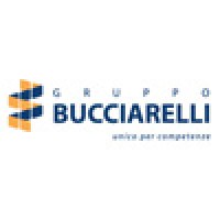 Bucciarelli Group logo - Similar company to Comiderma Srl