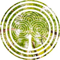 Radical Growth Solutions logo - Similar company to Quadsource