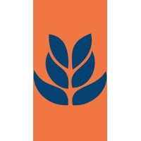 Marin Hair Transplant logo - Similar company to Jackie Mays Burger