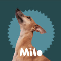 Milo Veterinary Software logo - Similar company to Monroe Veterinary Associates