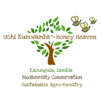 Uchi Kumwamba - Honey Heaven logo - Similar company to Betterworld Energy