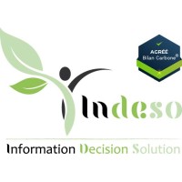 INDESO logo - Similar company to Indeso