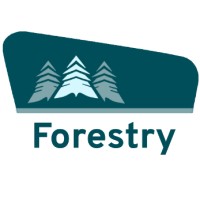 Forestry Storytelling