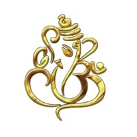 VIGHNRAJ MULTITRADE SERVICES PRIVATE LIMITED logo - Similar company to Phoenix Global Export Import