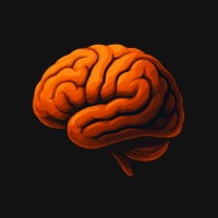 Anemoia Labs logo - Similar company to Craley™