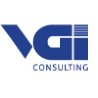 VGI Consulting logo - Similar company to Anguleris