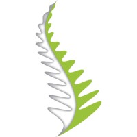 SilverFern Advisory logo - Similar company to Mba Pathfinders