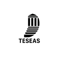 Teseas logo - Similar company to Synergy Technologies (Pvt.) Ltd.