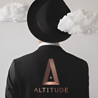 Altitude Development Co., Ltd. logo - Similar company to Altitude Development Consultants