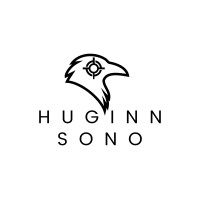Huginn Sono logo - Similar company to Ramp - Regional Accelerator And Mentoring Program
