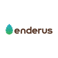Enderus Teknoloji Sanayi ve Ticaret Anonim Şirketi logo - Similar company to Fzk