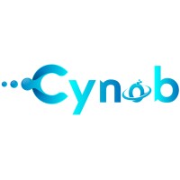 Cynob IT Consultancy logo - Similar company to Leetsecure