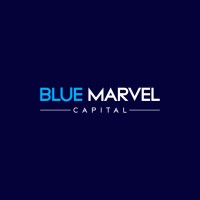 Blue Marvel Capital logo - Similar company to 🌳Treedefi