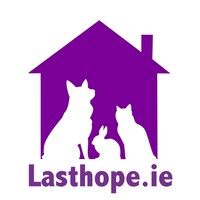 Last Hope Animal Charity logo - Similar company to Hope Pastures