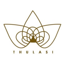 Thulasi International logo - Similar company to Geetuma Trading Llp