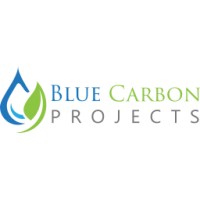 Blue Carbon Projects logo - Similar company to Bluecarbonlab