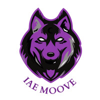 BDE IAE MOOVE logo - Similar company to Iae Moove