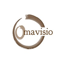 Omavisio Oy logo - Similar company to Gsinas Oy
