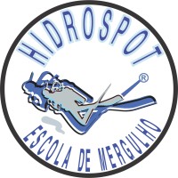 Hidrospot logo - Similar company to Hidrospot