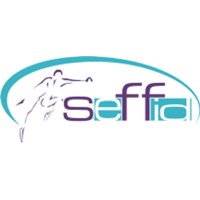 SEFFID - Atividade física para idosos logo - Similar company to Centro-Dia Perfil