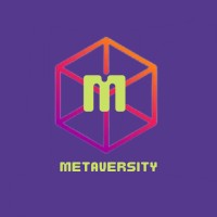 Metaversity logo - Similar company to Yours Mindfully
