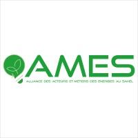 Alliance des acteurs et Métiers des Energies au Sahel (AMES) logo - Similar company to Labell'Com L'Agence De #Com4Africa