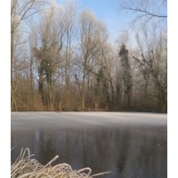 HFCompany logo - Similar company to Hamianfan Co