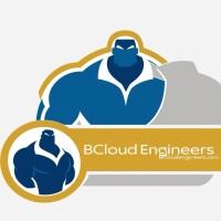 B Cloud Engineers logo - Similar company to Pivot 2 Stem Llc
