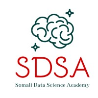 Somali Data Science Academy logo - Similar company to Sdsa