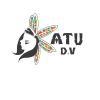 Katu Data Visualization logo - Similar company to Katu Consulting