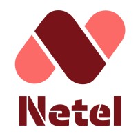 Netel Group logo - Similar company to Transtema
