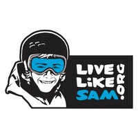 LiveLikeSam.org logo - Similar company to Blockintellect