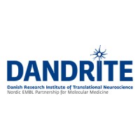 DANDRITE logo - Similar company to Human Cortex Lab