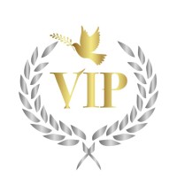 Viptralux logo - Similar company to Osumz : Trust Your Imagination