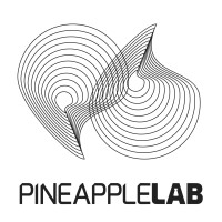 Pineapple Lab logo - Similar company to Yzy Designs