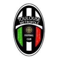 Toulouse Métropole Foobtball Club logo - Similar company to Unniiq