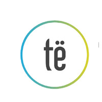 tësmem logo - Similar company to Future Programming Private Limited