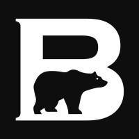 Black Bear Group logo - Similar company to Dreamflow Ai