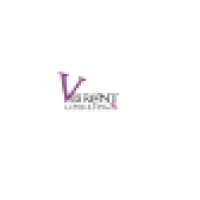 Vibrant Consulting logo - Similar company to Vibrant Visionaries