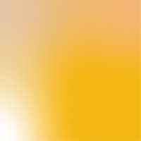 Studio van der Bent logo - Similar company to Flamboyant