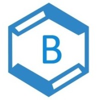 Blue Ocean Company logo - Similar company to Exubranza Consultancy Services Pvt Ltd